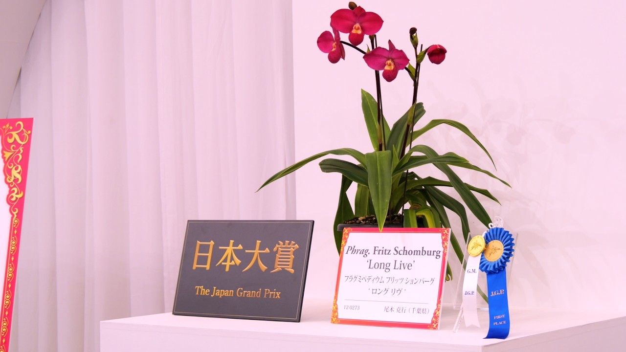 世界らん展2026 花と緑の祭典 Japan Grand Prix International Orchid