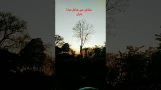 Beautiful capture | sazish mn shamal #music #vlog #nature