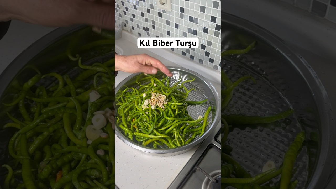 Kıl Biber Turşusu #yemektarifleri #pratiktarifler #tarif #yemek #sebzeyemekleri #food #cooking Kıl Biber Turşusu #yemektarifleri #pratiktarifler #tarif #yemek #sebzeyemekleri #food #cooking