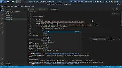 OverTheWire: GameWar: Natas Level 2