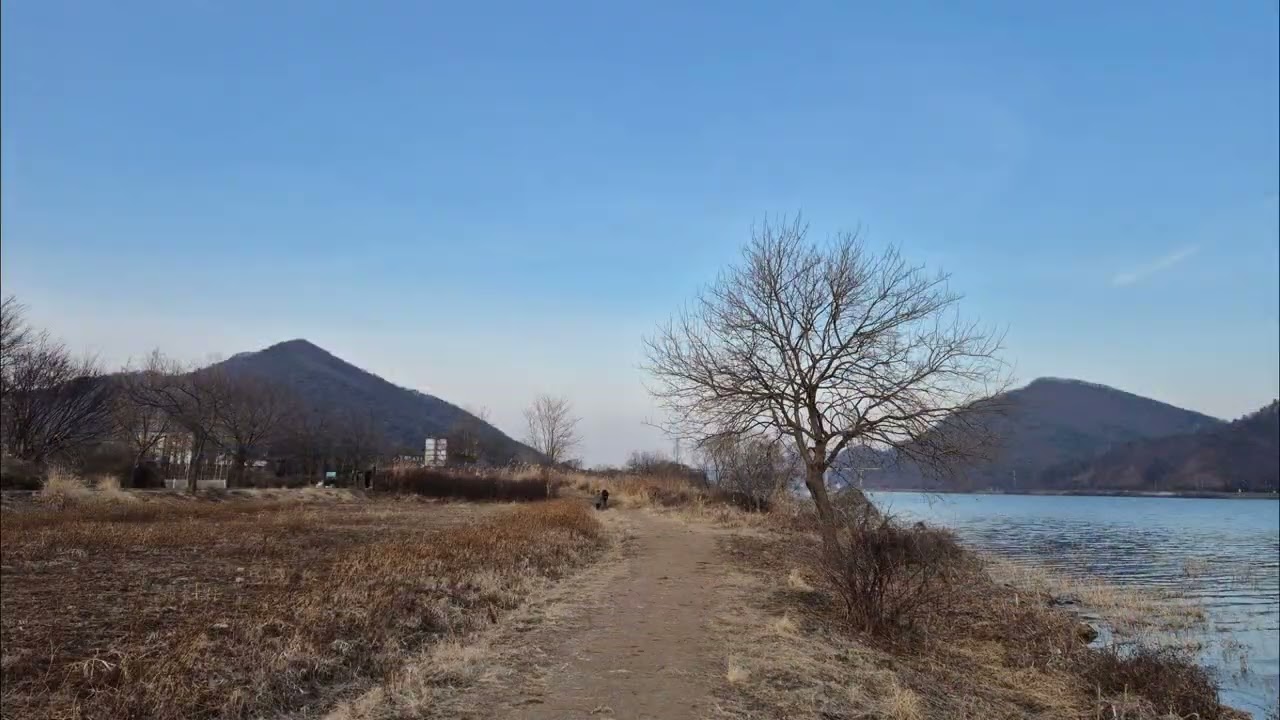 겨울 물의정원 산책