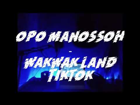 weird genius - wkwk land, ( Remix by Opo manossoh)