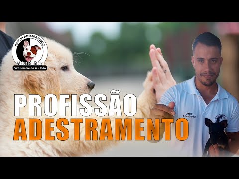 Profissão Adestramento/ como se tornar um Adestrador de cães profissional?
