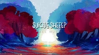 Finding Hope - Wonder