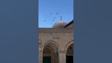 استمع بقلبك #تلاوة_خاشعة تريح القلب#ارح_قلبك   #القرآن_الكريم#راحة_نفسية  #اكسبلور #لايك #دويتو