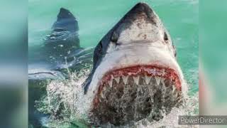 what's really in the depth of the sea