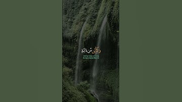 ﴿ الَّذِينَ صَبَرُوا وَعَلَىٰ رَبِّهِمْ يَتَوَكَّلُونَ﴾[ سورة النحل: 42]
