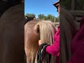 Another perspective on a horse that turns its butt to you