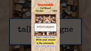 UNSCRAMBLE: Cat Breed 1004 #unscramble #cat #breed UNSCRAMBLE: Cat Breed 1004 #unscramble #cat #breed