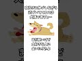 犬語を教えます!!2 #わんこ #犬 #猫 #ワンコ