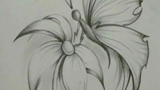 رسم فراشة جميلة تقف علي وردة - Draw beautiful butterfly stand on flower 