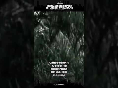 В каких войнах участвовал СССР? #ссср #история #жизньвссср #новости