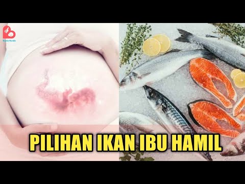 Video: Apa Jenis Ikan Yang Harus Dimakan Oleh Ibu Hamil