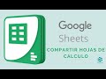 ¡Aprende a Compartir Hojas de Cálculo con Curso Google Sheets! ¡Descubre los Secretos!
