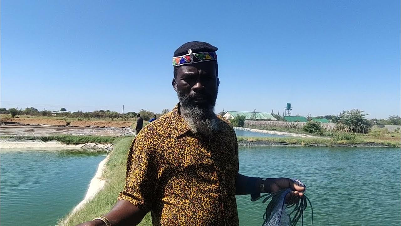 fish farming !!!!Zambia.... YouTube