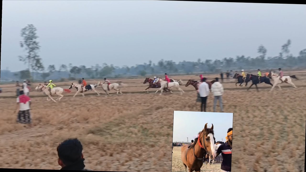 কাঁকসা মাঠে ঘোড়া দৌড় প্রতিযোগিতা প্রথম হলো খাজা বাবা