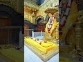 मध्याह्न आरती दर्शन 🌞 🙏 🌹 #shorts #ytshorts #youtube #saidevotees #saibabablessings