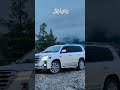 Our Provence Paktia Gardeiz Afghanistan Za Zey Aruobزموږ ولایت پکتیا ولایت ځاځی اریوب Our Provence Paktia Gardeiz Afghanistan Za Zey Aruobزموږ ولایت پکتیا ولایت ځاځی اریوب