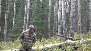 Adventurer Shares His Experiences With Sasquatch And I Share An Insane Story