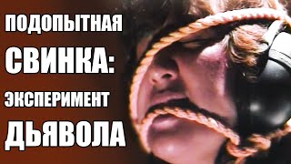 Обзор Фильма Ужасов "Подопыткая Свинка: Эксперимент Дьявола", 1985 г. Без Спойлеров