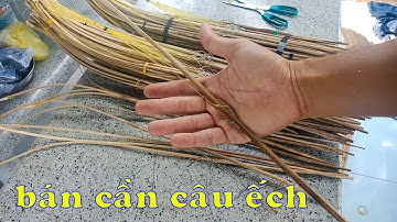 BÁN CẦN CÂU CẮM ẾCH đầy đủ dây và lưỡi câu cắm ếch, giao hàng toàn quốc