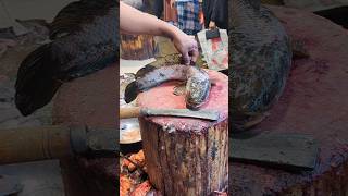 Giant Sola Fish Cutting Skills Live In Bangladesh | Amazing ...