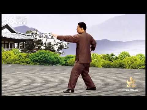 Chen style Tai Chi 9 Form - Chen Xiaowang