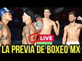 ¿Repeat or Revenge? #NavarreteValdez2 #EspinozaRamirez2 | LA PREVIA DE BOXEO MX