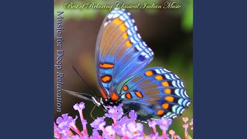 Thumbnail of Flute and Violin: Sarasangi - Relaxing into the Breath With Flute Raman and Mysore V. Srikanth