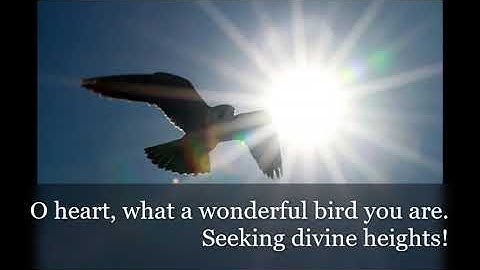 Rumi  ~ 𝐆𝐨𝐧𝐞 𝐭𝐨 𝐭𝐡𝐞 𝐔𝐧𝐬𝐞𝐞𝐧 ~ Sufi Mystics