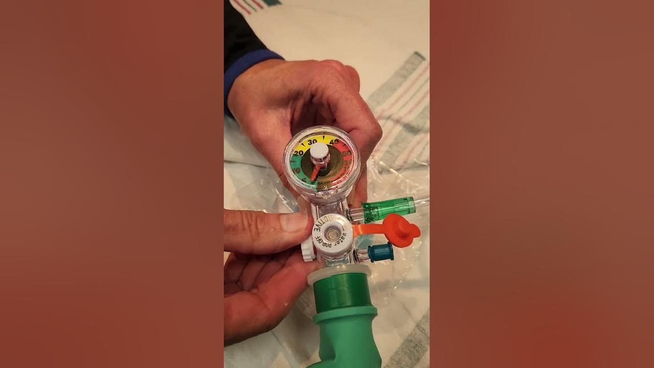 Panda warmer set up for a delivery - YouTube