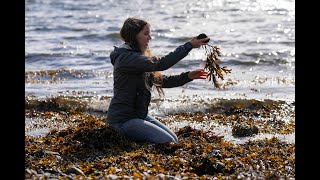 How seaweed is helping this Scottish community feed each other