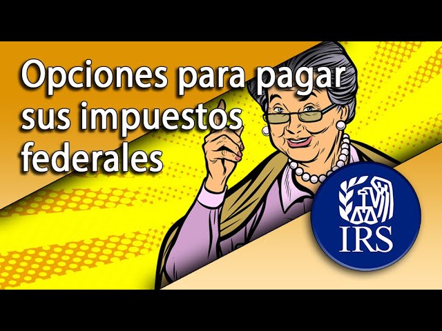 “Opciones para pagar al IRS en línea”