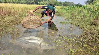 Amazing Fishing By Bamboo Tools Polo Trap In Paddy Field Water. Fishing Video.