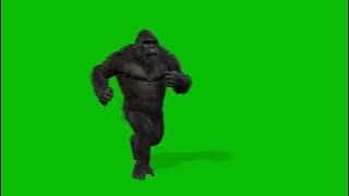 FREE! Make your Own King Kong Gorilla  Running and Growling ! Green Screen 😂  Support Me! HD