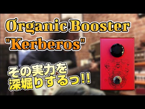 Organic Booster Kerberos