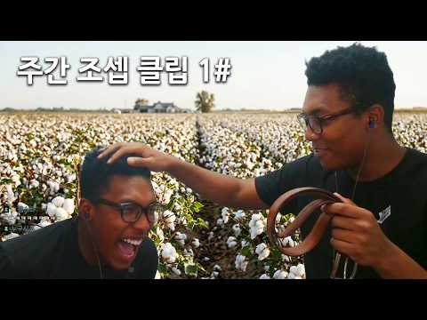 어서와 밸트로 맞는건 처음이지?