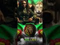 Bob Marley The Wailers One Love People Get Ready Exodus 40 Mix mp3