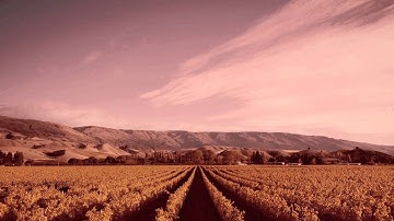 Transforming Product Development