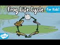 The Life Cycle of a Frog | Frog Life Cycle | Science for Kids!