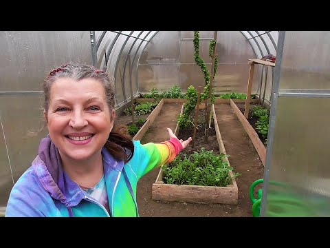 Video: Co se děje s rostlinami v zimě?