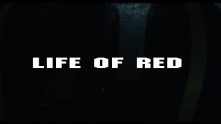 LIFE OF RED | Renan Ozturk | Shot on RED
