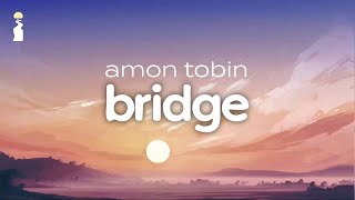 Amon Tobin - Bridge [Electronic/IDM]