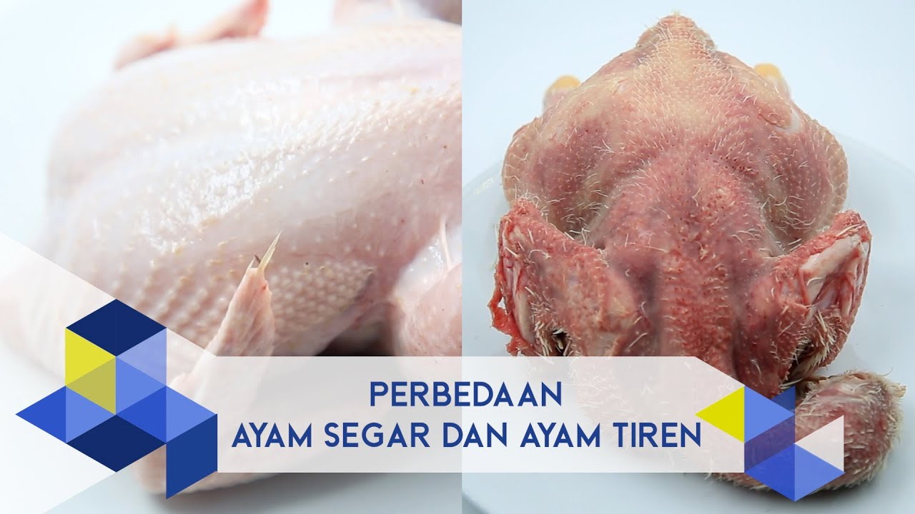IPB Pedia Tips Membedakan Ayam Potong Segar Dan Ayam Tiren YouTube ipb-pedia-tips-membedakan-ayam-potong-segar-dan-ayam-tiren-youtube