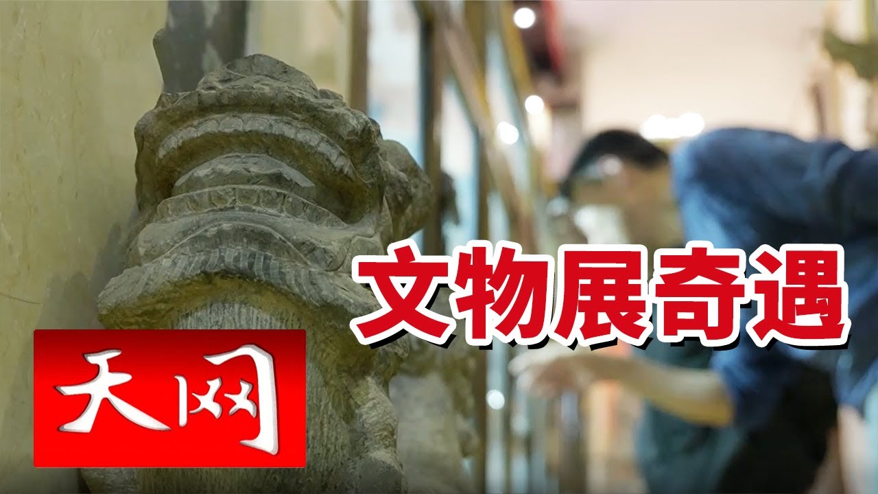 《天网》洛阳来客的秘密任务：一面铜镜牵出藏品流向！20250820