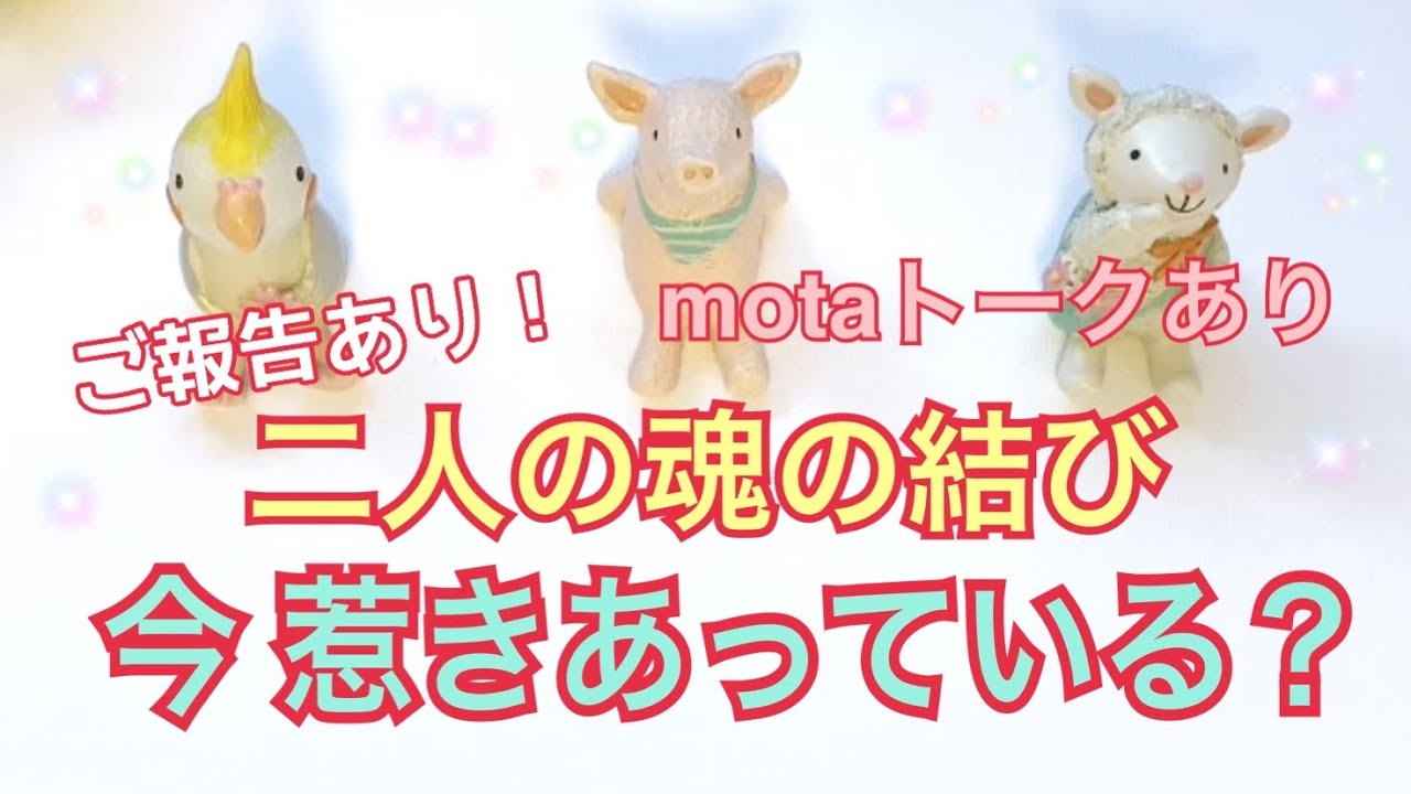 名前が決まりました‼️motaトークあり!二人の今の繋がり ️リーディングありのモタモタ動画になっています🤗 - YouTube