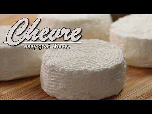 How to Make Chevre - Goat Milk Cheese class=