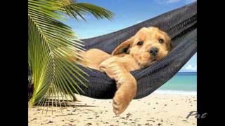 Tutti Al Mare Gabriella Ferri