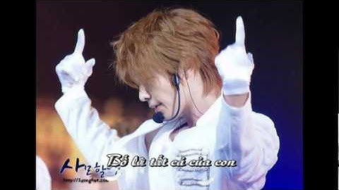 [vietsub][Fanmade] My Everything - DongHae - Happy Birthday ss Zi.avi
