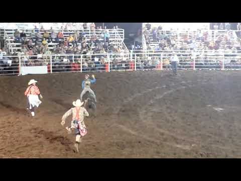 Pawnee Bill Memorial Rodeo, short-go 2020 - YouTube